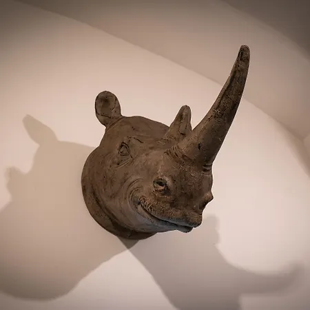 Rhino Lubiana